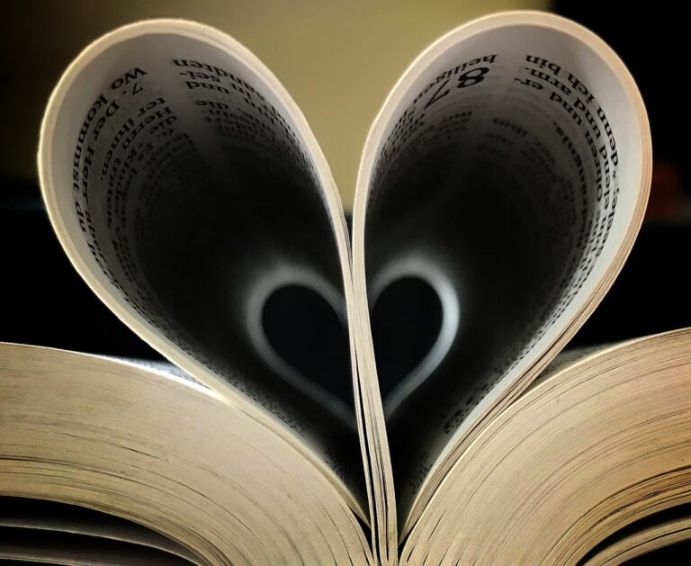 heart-4698213_1280